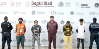 Detienen a cinco por delitos contra la salud en Valle del Sur