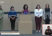 Presentan ley para combatir el feminicidio en el Congreso de Puebla