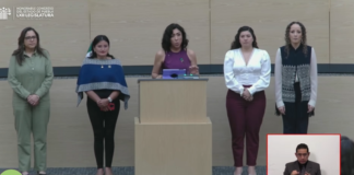 Presentan ley para combatir el feminicidio en el Congreso de Puebla