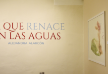 BUAP exhibe por primera vez seis series de Alejandra Alarcón