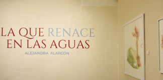 BUAP exhibe por primera vez seis series de Alejandra Alarcón