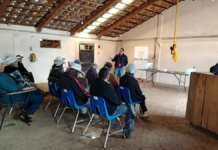 Zacatlán ha atendido 10 casos de gusano barrenador