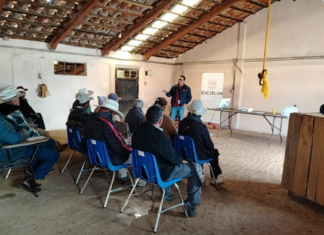 Zacatlán ha atendido 10 casos de gusano barrenador