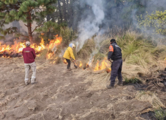 Puebla, cuarto lugar nacional en incendios forestales durante 2026