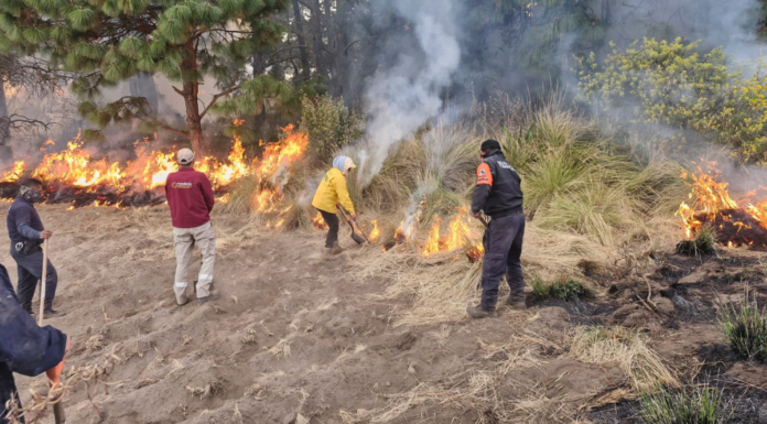 Puebla, cuarto lugar nacional en incendios forestales durante 2026