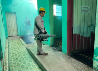 Destacan resultados en jornada nacional contra dengue y chikungunya