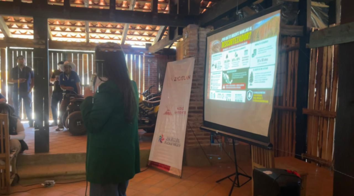Capacitan a comunidades para combatir plaga forestal en Zacatlán