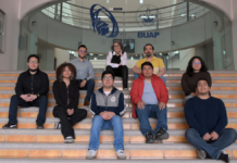 BUAP desarrolla plataforma para evaluar salud de adultos mayores