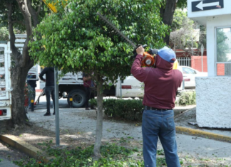 Puebla capital realiza labores de poda y chapeo en espacios públicos