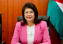 Investigan a senadora de Morena por presunto sacrificio masivo de perros