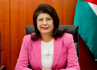 Investigan a senadora de Morena por presunto sacrificio masivo de perros