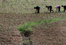 Corea del Norte enfrenta una sequía “sin precedentes”
