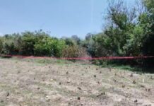 Hallan dos cuerpos en distintos puntos de Puebla capital este domingo
