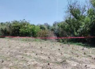 Hallan dos cuerpos en distintos puntos de Puebla capital este domingo