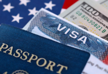 EU restringe visas a 75 personas vinculadas al Cártel de Sinaloa