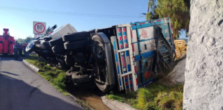 Vuelca camión cargado con mangos en la México–Puebla