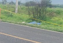 Motociclista muere tras ser arrollado en la México-Veracruz