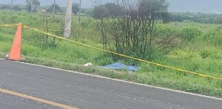 Motociclista muere tras ser arrollado en la México-Veracruz