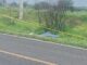 Motociclista muere tras ser arrollado en la México-Veracruz