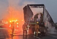 Conductor muere calcinado tras choque en la Puebla-Orizaba