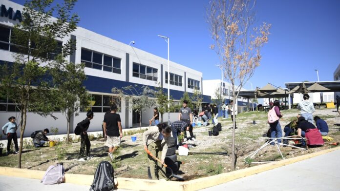 Arborización