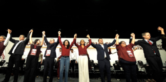 Ariadna Montiel asume dirigencia nacional de Morena