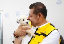 Armenta pide al Congreso limitar la comercialización de animales