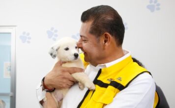 Armenta pide al Congreso limitar la comercialización de animales