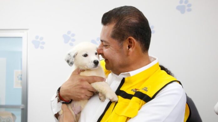 Armenta y Perrito
