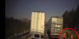 VIDEO: Captan nuevo asalto a tractocamión en la Puebla-Orizaba