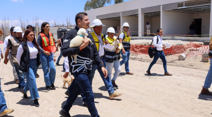 Célula de Bienestar Animal en Puebla registra 70% de avance