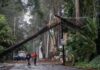 Puebla bajo el agua; lluvia con granizo deja inundaciones y árboles caídos