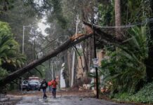 Puebla bajo el agua; lluvia con granizo deja inundaciones y árboles caídos