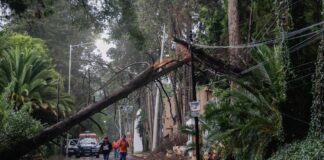 Puebla bajo el agua; lluvia con granizo deja inundaciones y árboles caídos