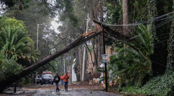 Puebla bajo el agua; lluvia con granizo deja inundaciones y árboles caídos