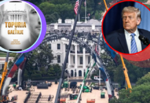 Construirán arena temporal en la Casa Blanca para pelea de UFC