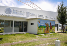 Centro de Bienestar Animal en Puebla registra 99% de avance