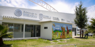 Centro de Bienestar Animal en Puebla registra 99% de avance