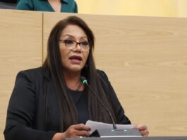 Iniciativa de infancias trans cumple sentencia de la SCJN, explica diputada