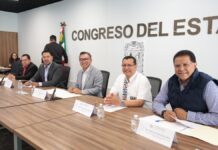 Comisión avala garantizar autonomía sindical de trabajadores estatales