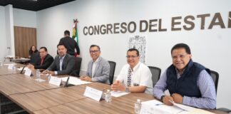 Comisión avala garantizar autonomía sindical de trabajadores estatales
