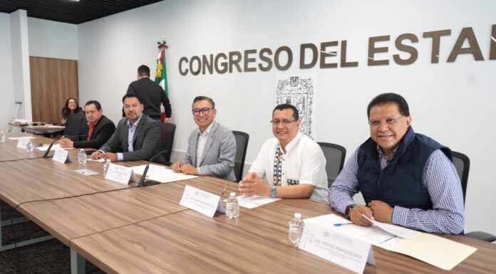 Comisión avala garantizar autonomía sindical de trabajadores estatales