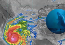 ¿Qué es el “Niño Godzilla” y su impacto en el clima?