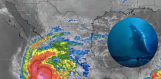 ¿Qué es el “Niño Godzilla” y su impacto en el clima?