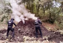 Destruyen 11 hornos clandestinos en San Nicolás de los Ranchos