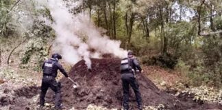 Destruyen 11 hornos clandestinos en San Nicolás de los Ranchos