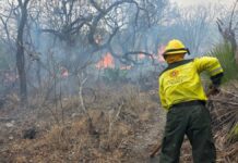 Protección Civil combate incendio en la Mixteca Poblana