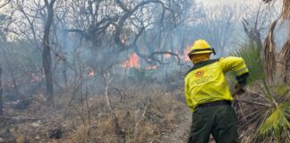 Protección Civil combate incendio en la Mixteca Poblana