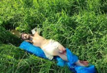Vandalizan capilla en Huauchinango; destruyen altar y roban imagen de Jesús