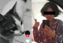 Reaparece perfil ligado a presuntos actos de maltrato animal en Puebla